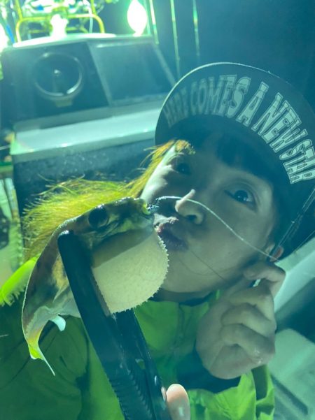 バチコンアジング