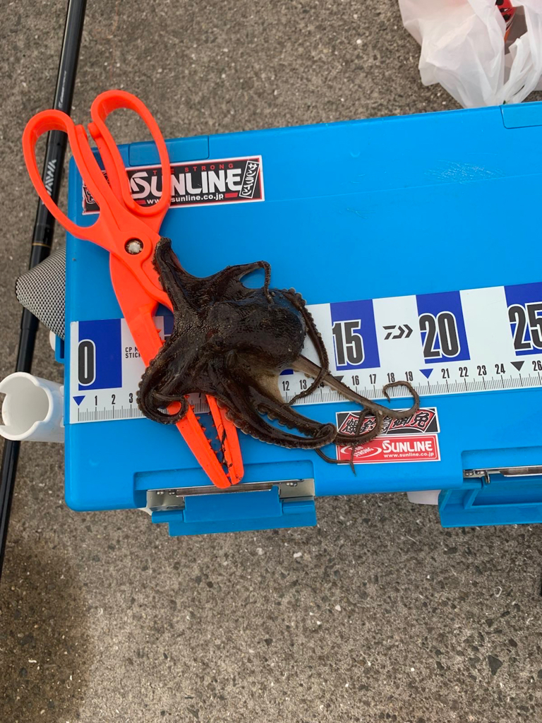 最後に疲れました