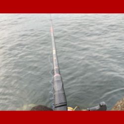 釣り始めから何度も小さいアタリ