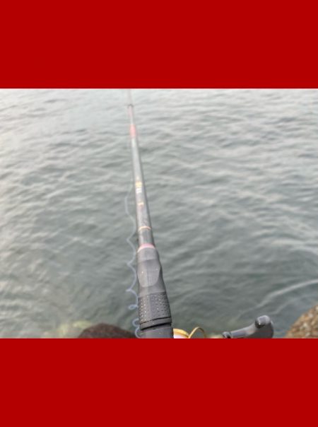 釣り始めから何度も小さいアタリ