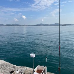 六連島でクロ釣り