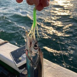 船タチウオテンヤ