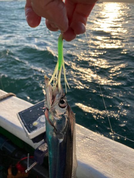 船タチウオテンヤ