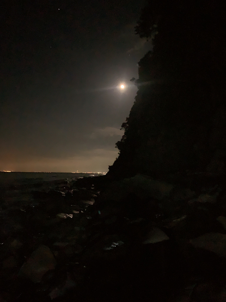 フロートゲーム