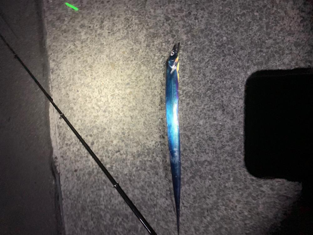 太刀魚!!