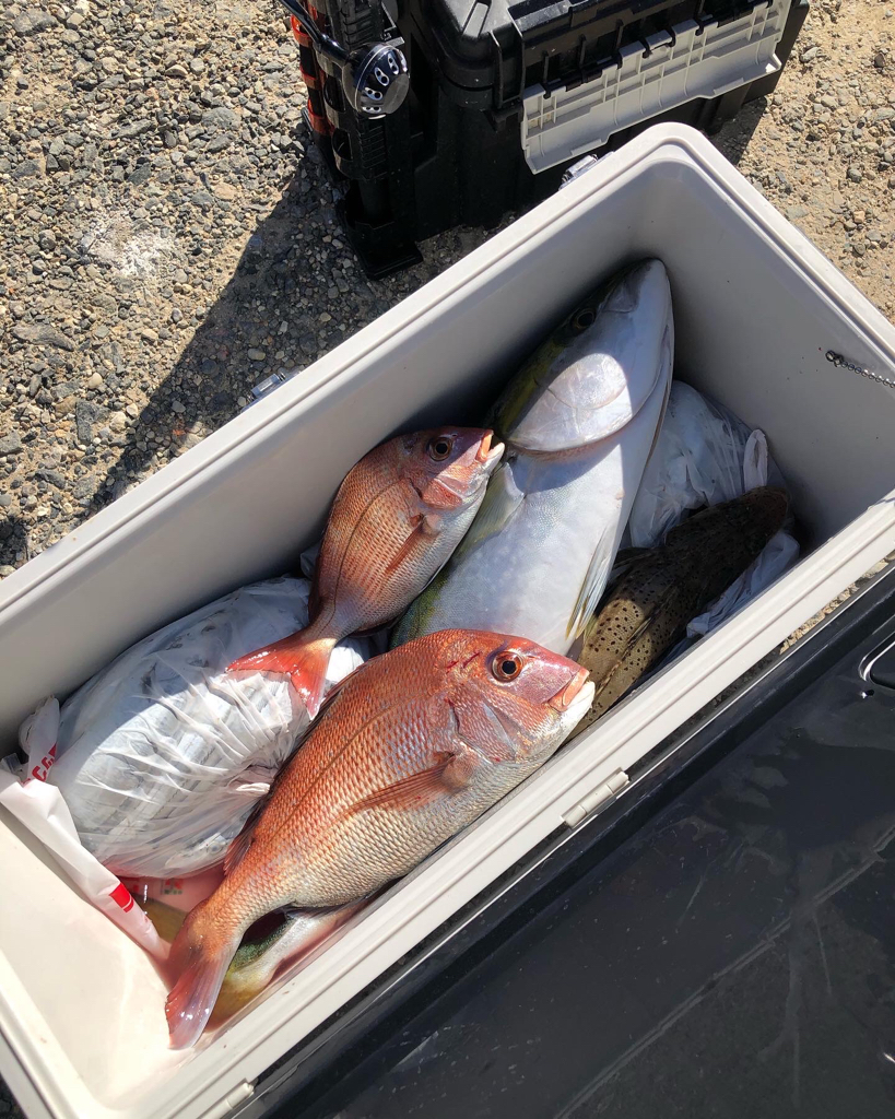 伊勢湾ジギング