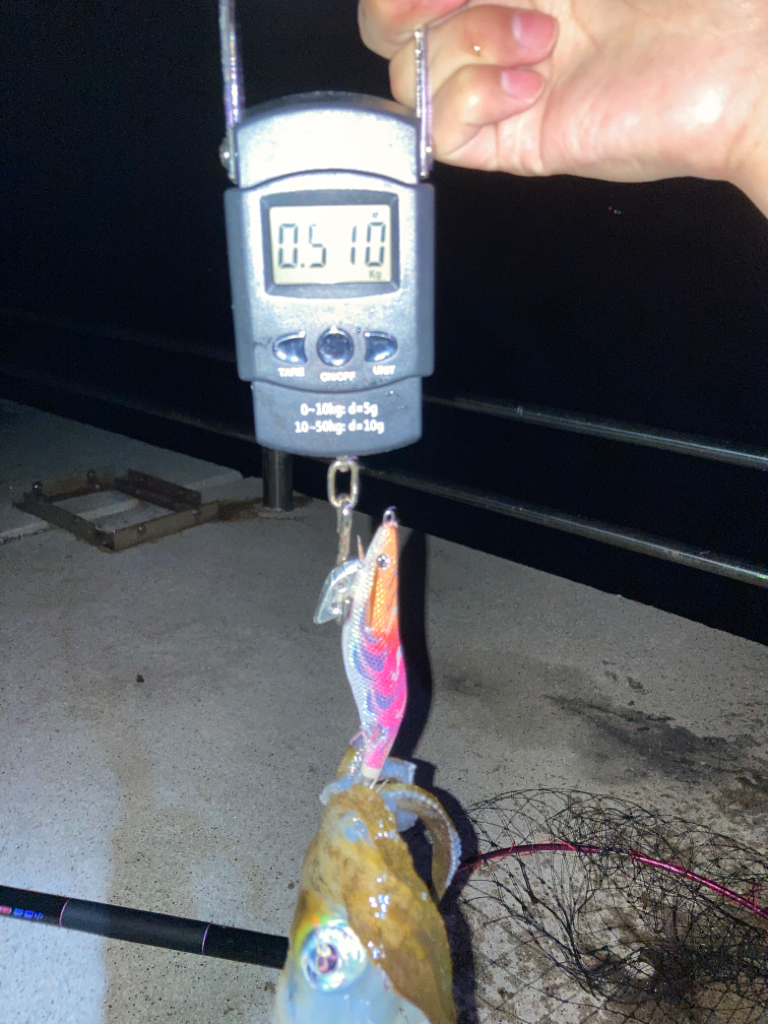 ヤエン2回目で初!