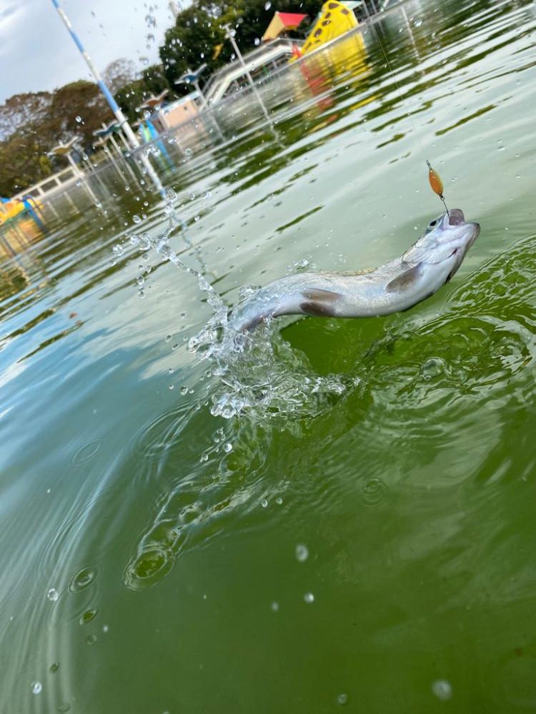 かめプー　貸切でストレスなし