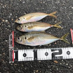 久しぶりの釣行