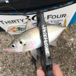 毎週末のルーティン