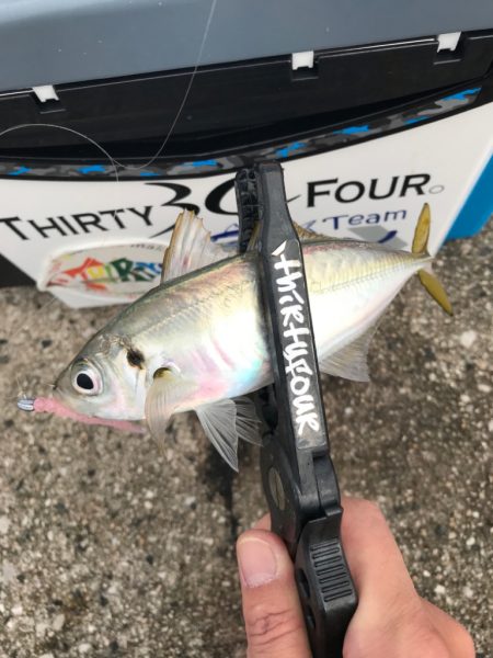 毎週末のルーティン