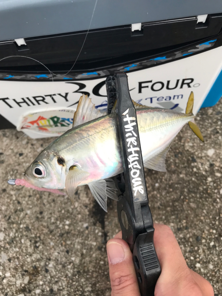 毎週末のルーティン