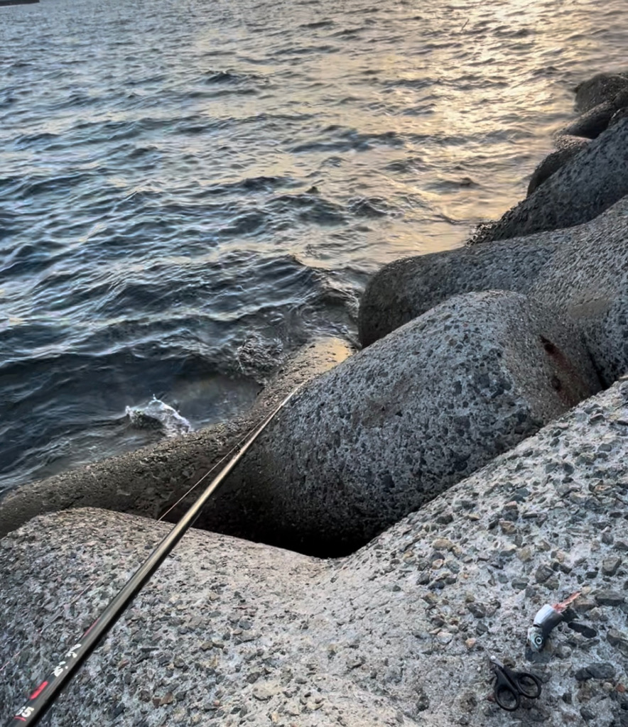 ガジラ爆釣！！南大阪編