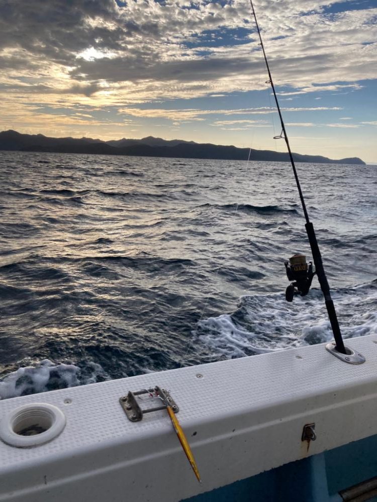 ネリゴジギング