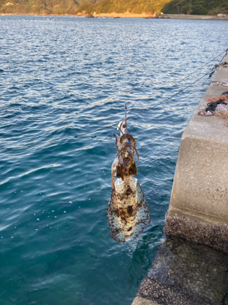 エギングランガン