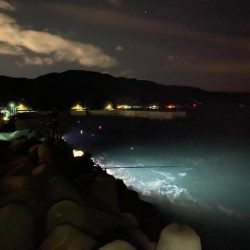 暴風でタチウオ爆釣