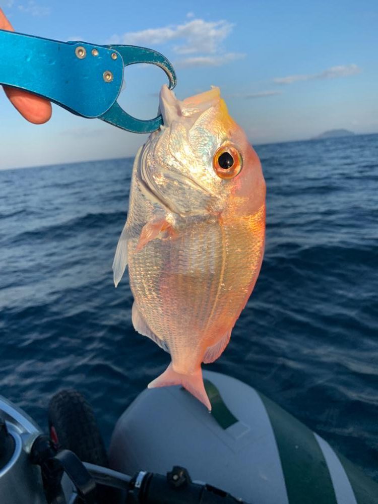 久しぶりのボート釣行!