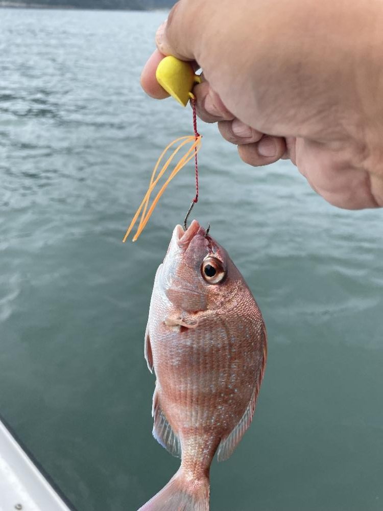 タイラバのつもりが