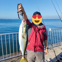 貝塚人工島ベランダでメジロ