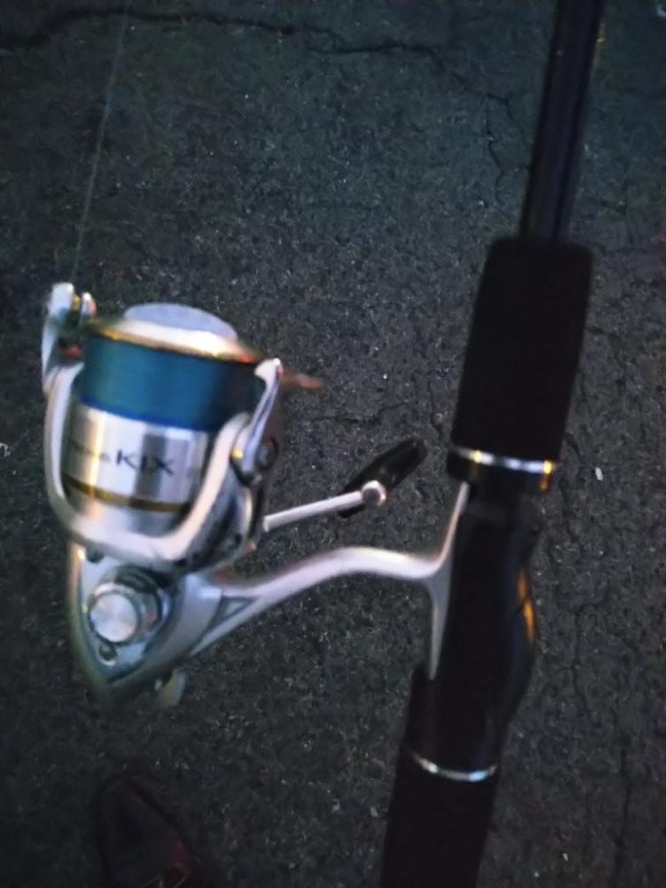 太刀魚調査もサバー