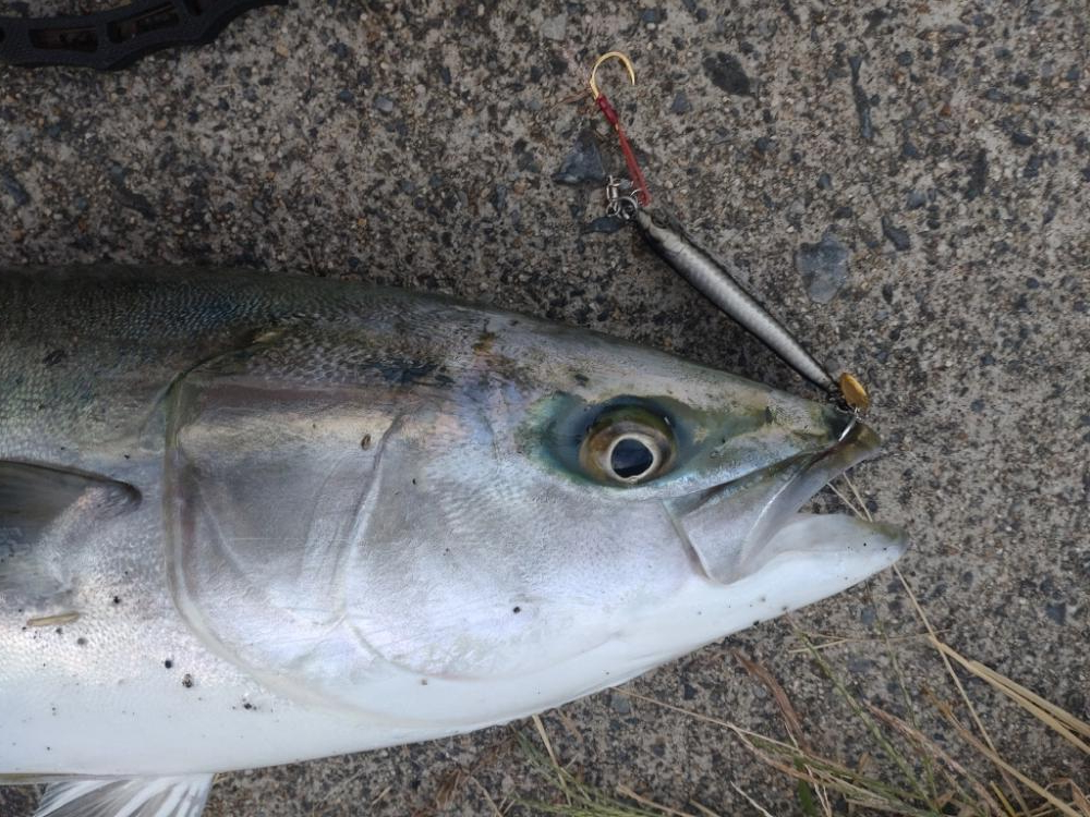 爆風の中でのショアジギング