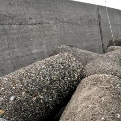 今日はジグがよくあたる(*^^*)