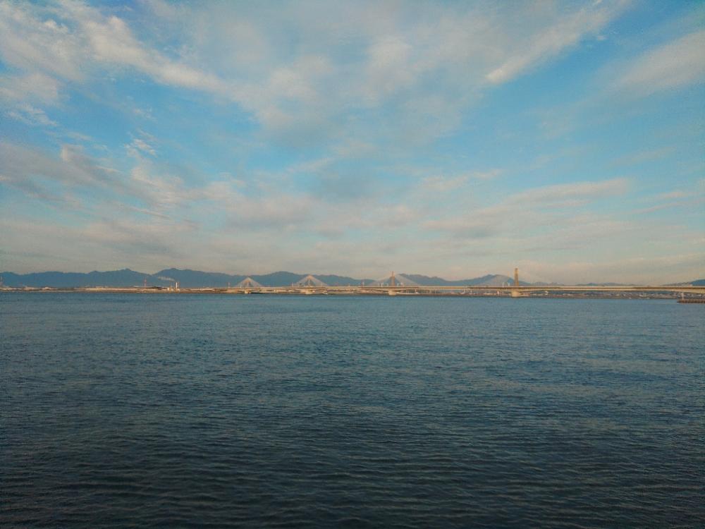 ついにキターー♪