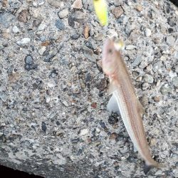 誘い方の問題？