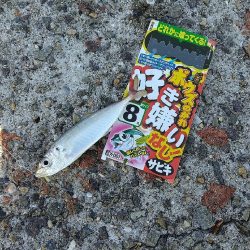武庫川一文字で飲ませ釣りす