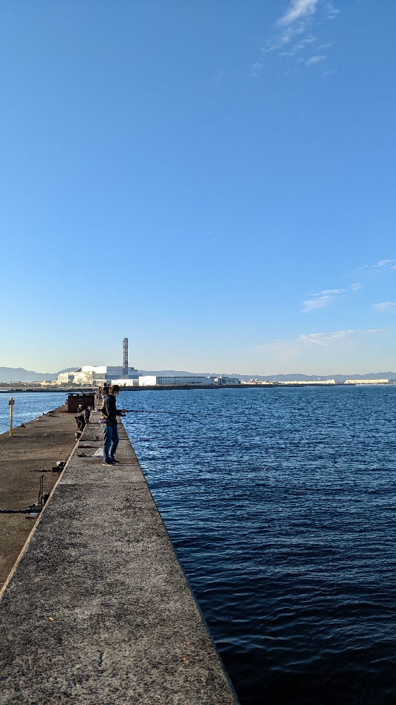 岸和田一文字青物惨敗カワハギに癒やされる