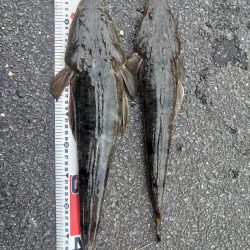 仕事前の朝練♪