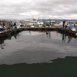 天候不良でも海上釣り堀へ☆