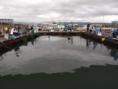 天候不良でも海上釣り堀へ☆