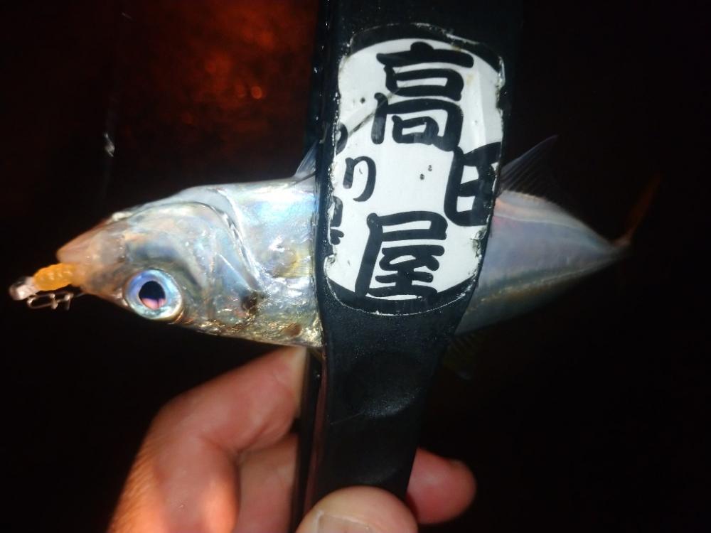 やっちまったな～😂