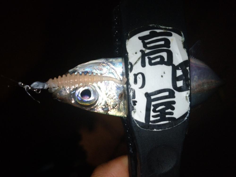 今夜はややむず