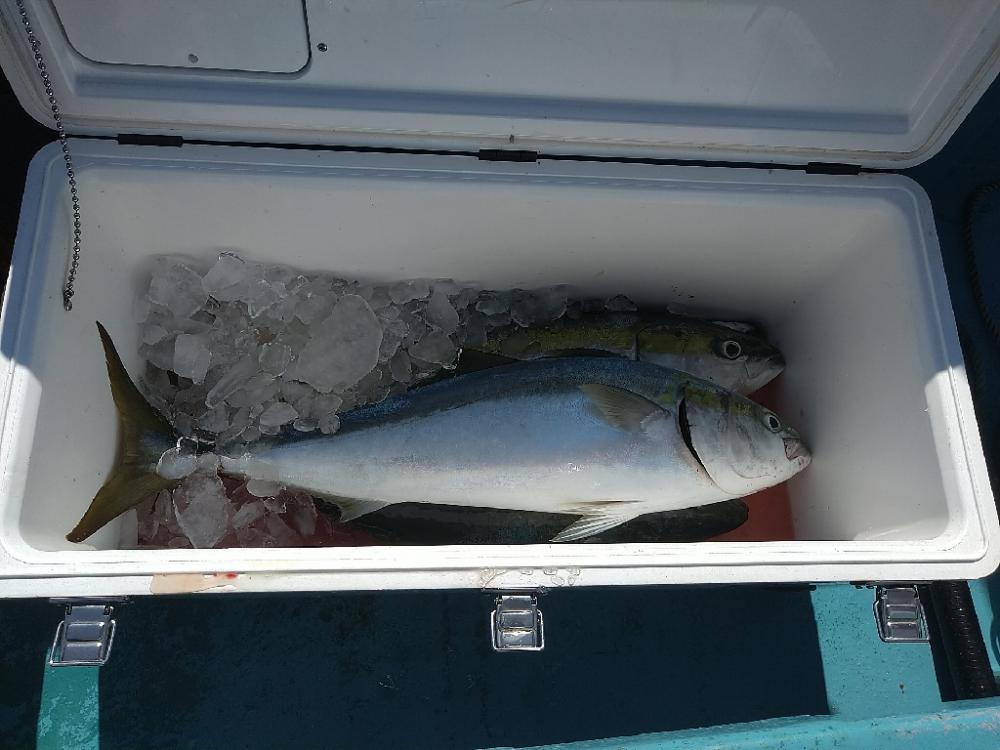 ワンデイバトルin白浜の参