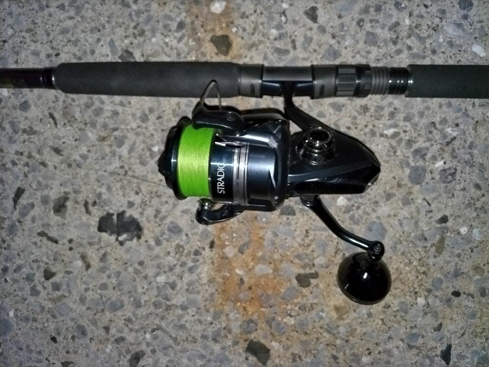 市内港湾部にてシーバスゲット!