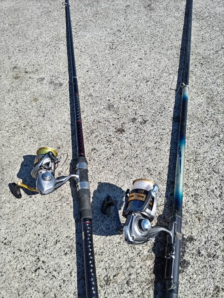 一ヶ月ぶりのネイゴ!(カンパチ)