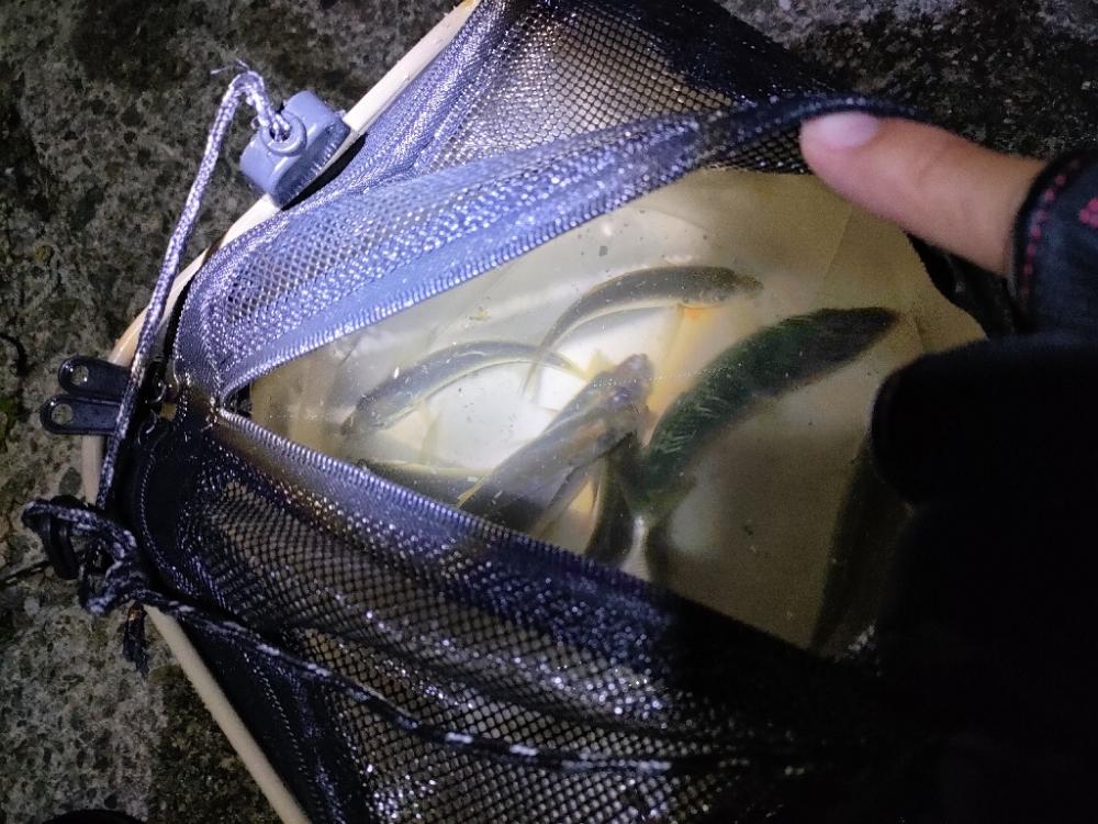 ランガンの末…