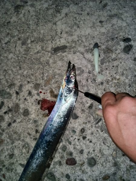 タチウオ渋すぎ