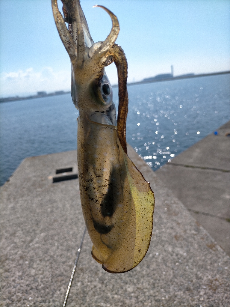 快晴の日は渋め？