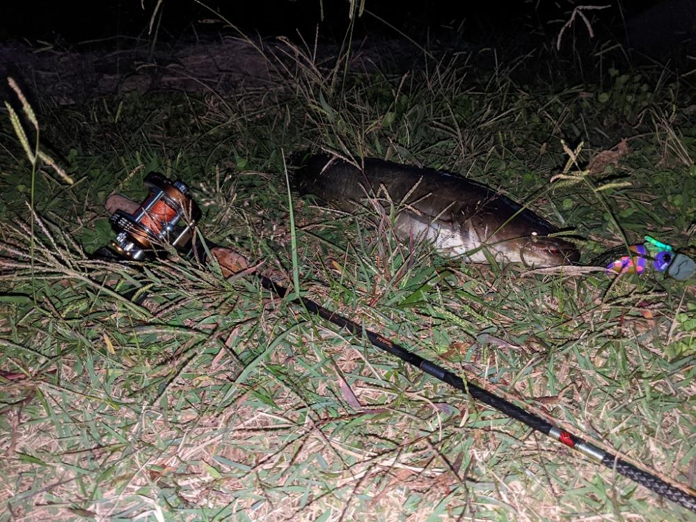 ポコポコ…バコ〜ン