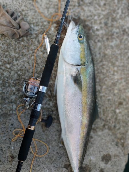 今シーズン2匹目サイズアップ