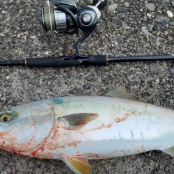 アタリはあるけど乗りにくいです！