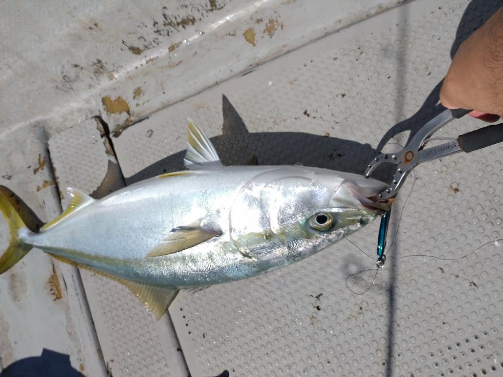 岩国沖開幕！！！