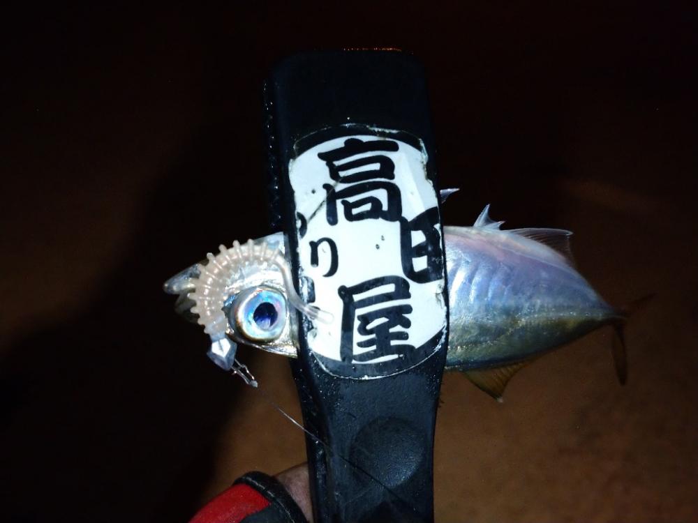 今夜はテクニカル