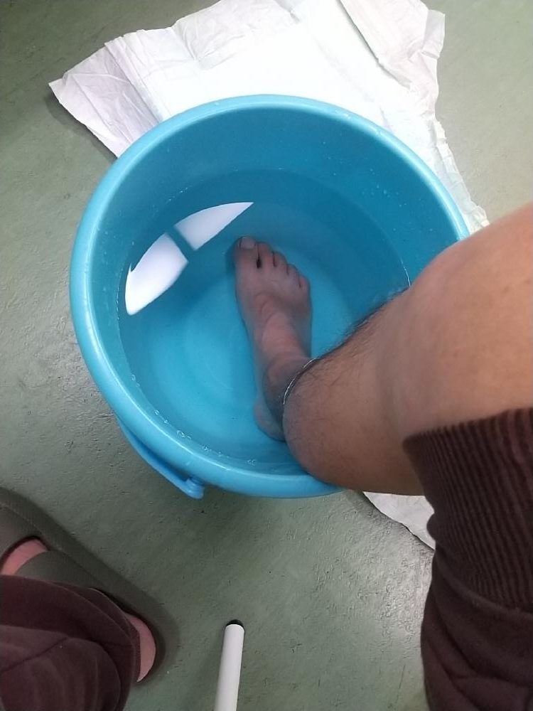 秋サヨリ最盛期