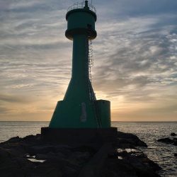 クロ釣り(畝刈)