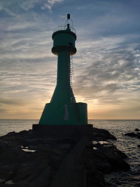 クロ釣り(畝刈)