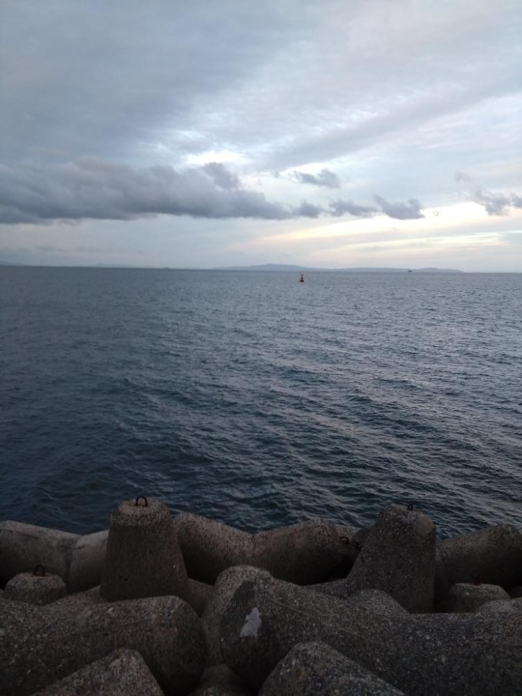 サワラが釣りたいけどメジロ!